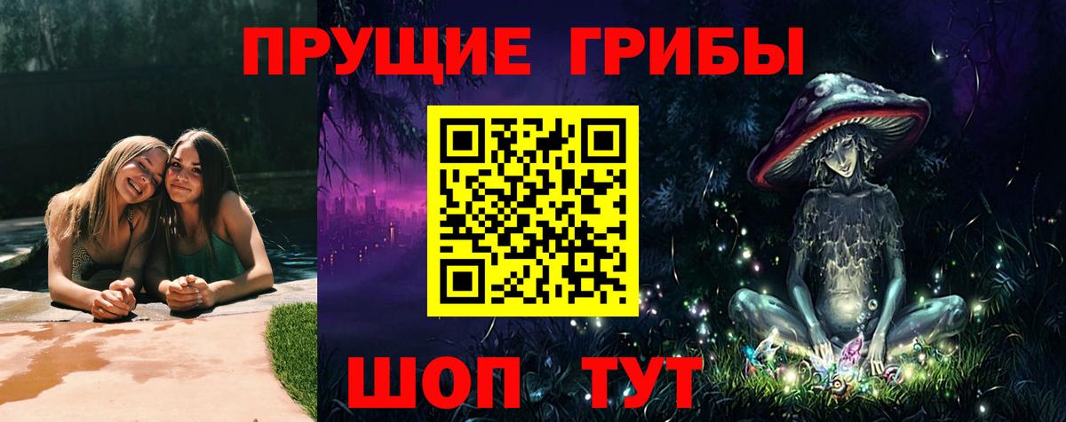 Тула  Псилоцибиновые грибы мицелий  Псилоцибиновые грибы Cubensis  Вход с VPN 